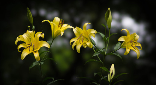 836990 (a): :2048x1116